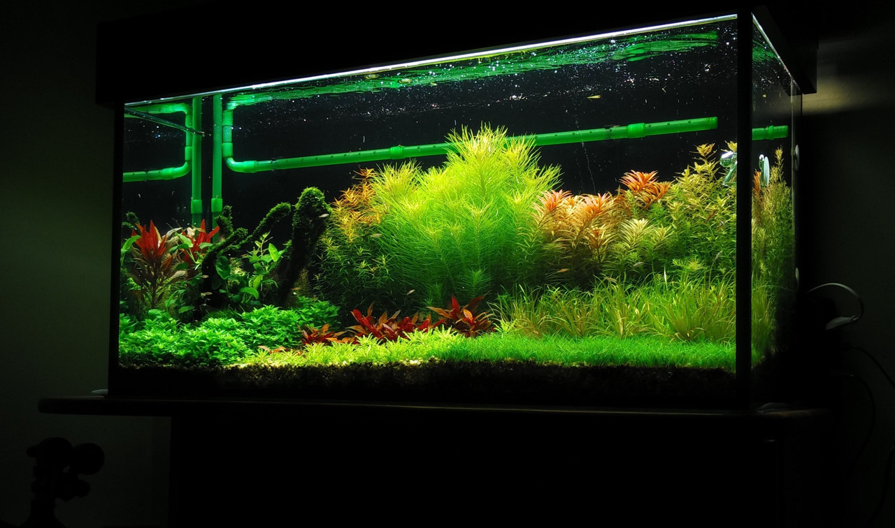 IMG_20151231_170011 (3)