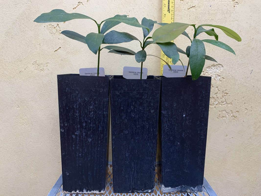 2EB830AC-739D-45B5-BE9A-AC21DA5DF217