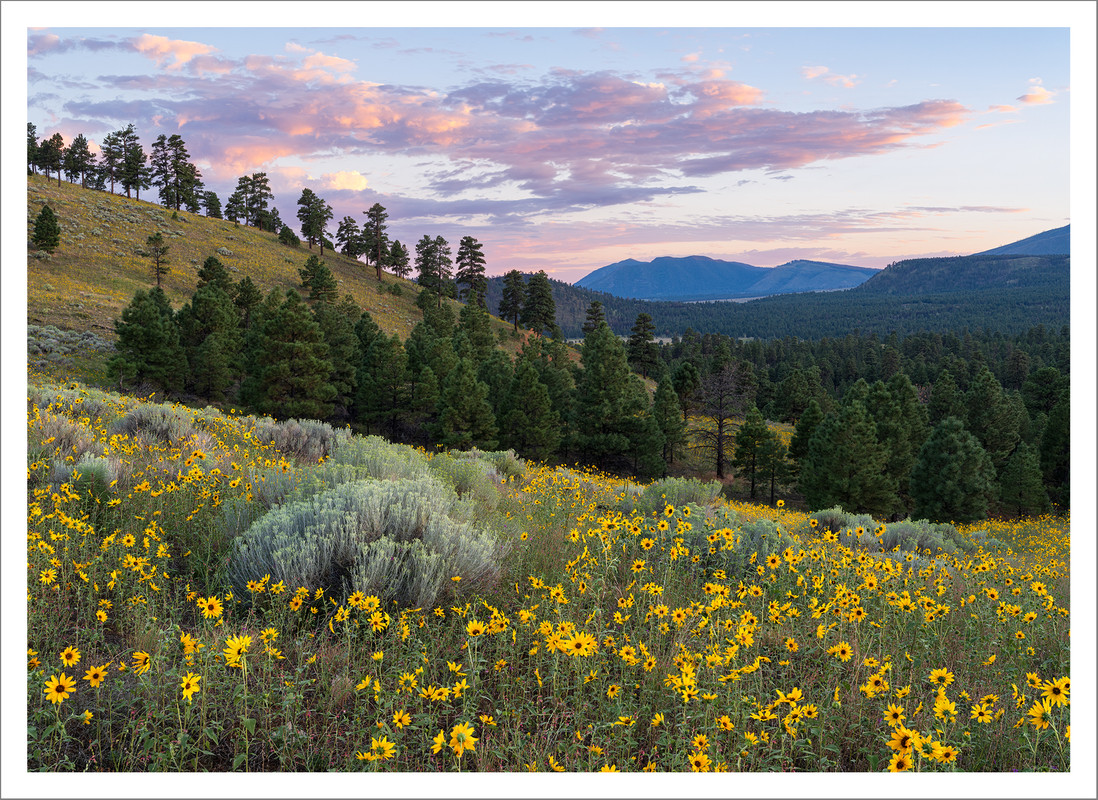 Ed2000-5x7TopazNik4390-4395 ZS PMax copy