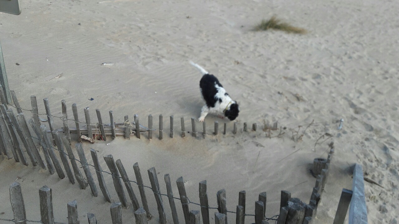 7F4B5F66-8D19-4CFF-B259-588A8AE134FB