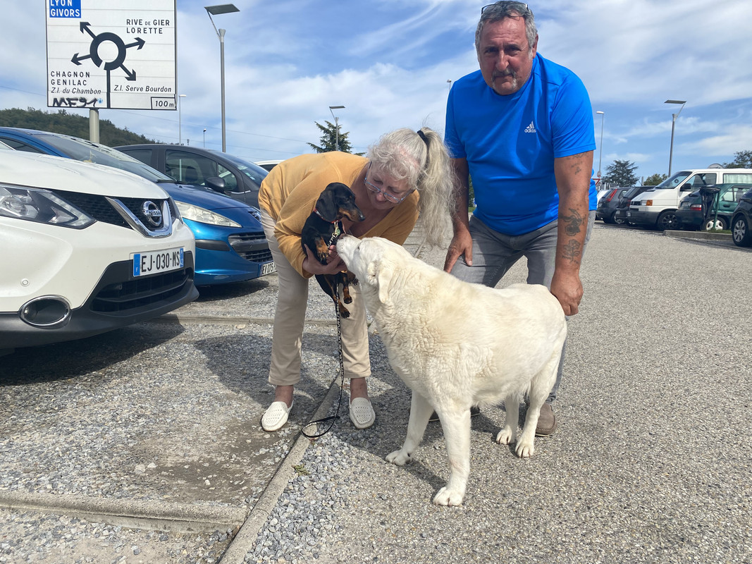 [Image: IMG-0717.jpg]