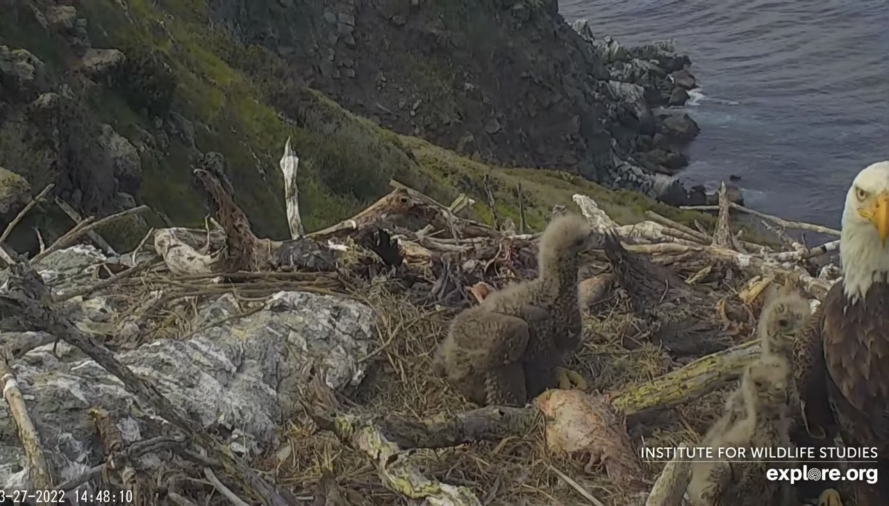 21F086E1-C567-4D98-B9A3-648B57549C13