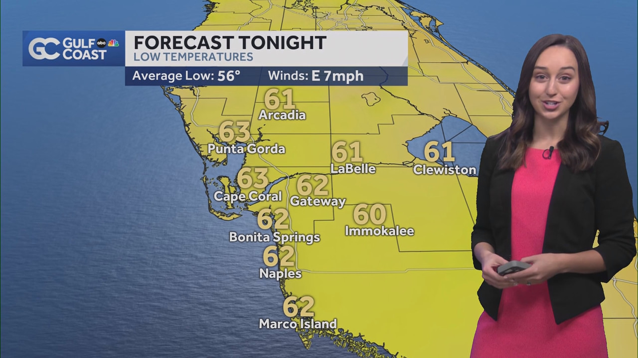 NBC 2 News at 11_20250205_16001700.ts_snapshot_48.31.373