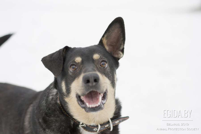 47EE8990-006E-4904-90EA-27323CCC07D9