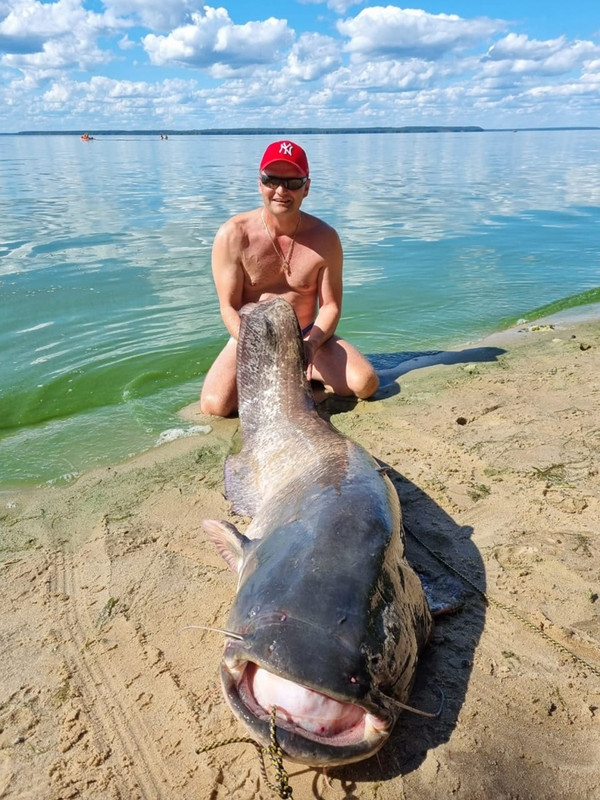 mM9lEm8J1cVPDxsAPtKGQB3xpP6Mo0pkkPe8Kn_wF_1i0WH2zNgNErophjTU1iPND-2RkomxWSexpndKykiQXWKx