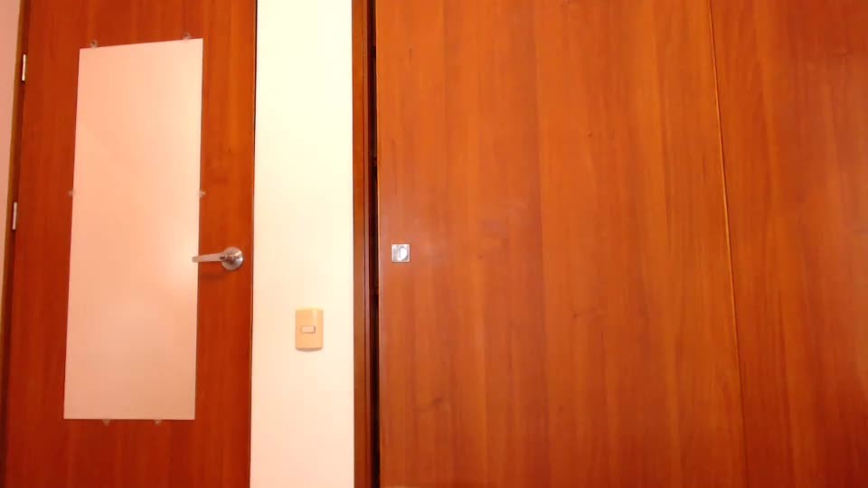 Nina_agdal Chaturbate Apr 27 2021 01-45-49