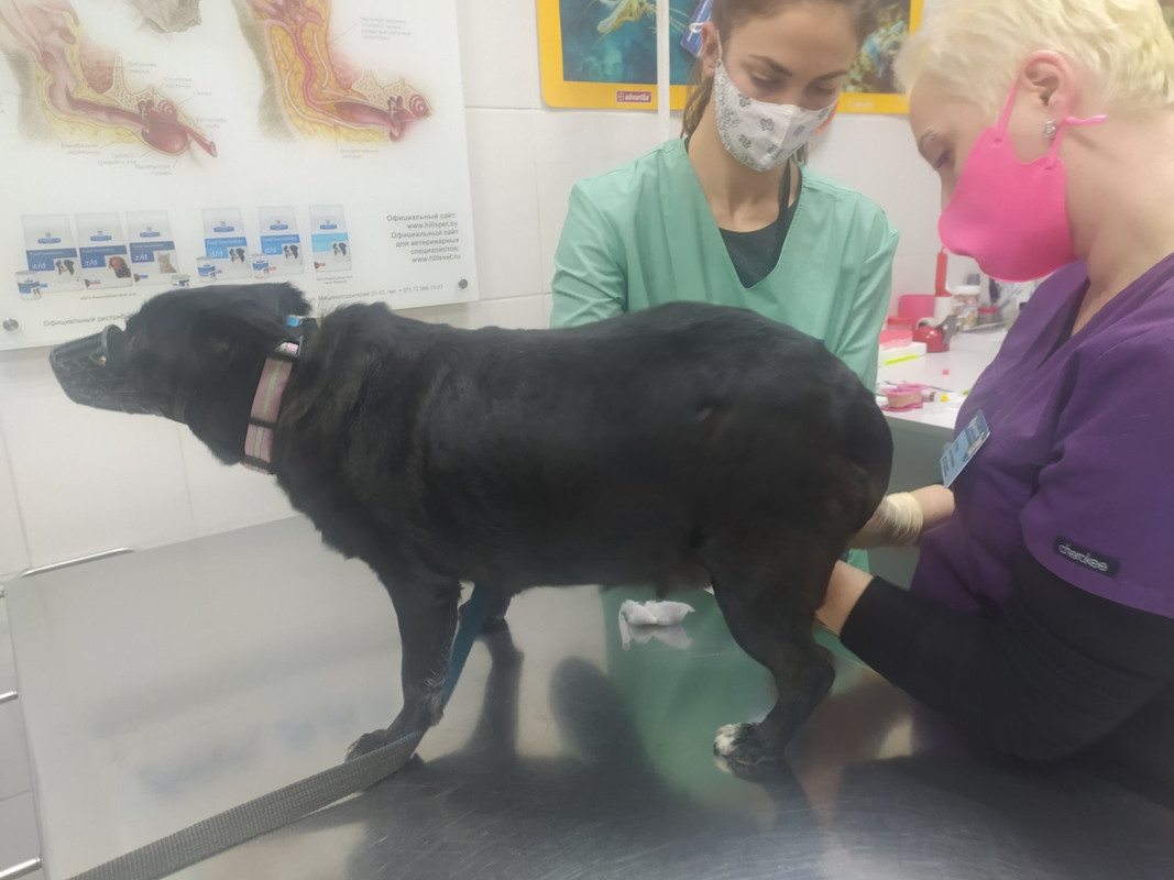 изображение_viber_2021-09-29_01-02-02-934