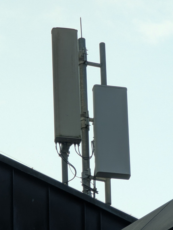 PXL_20250220_150010506