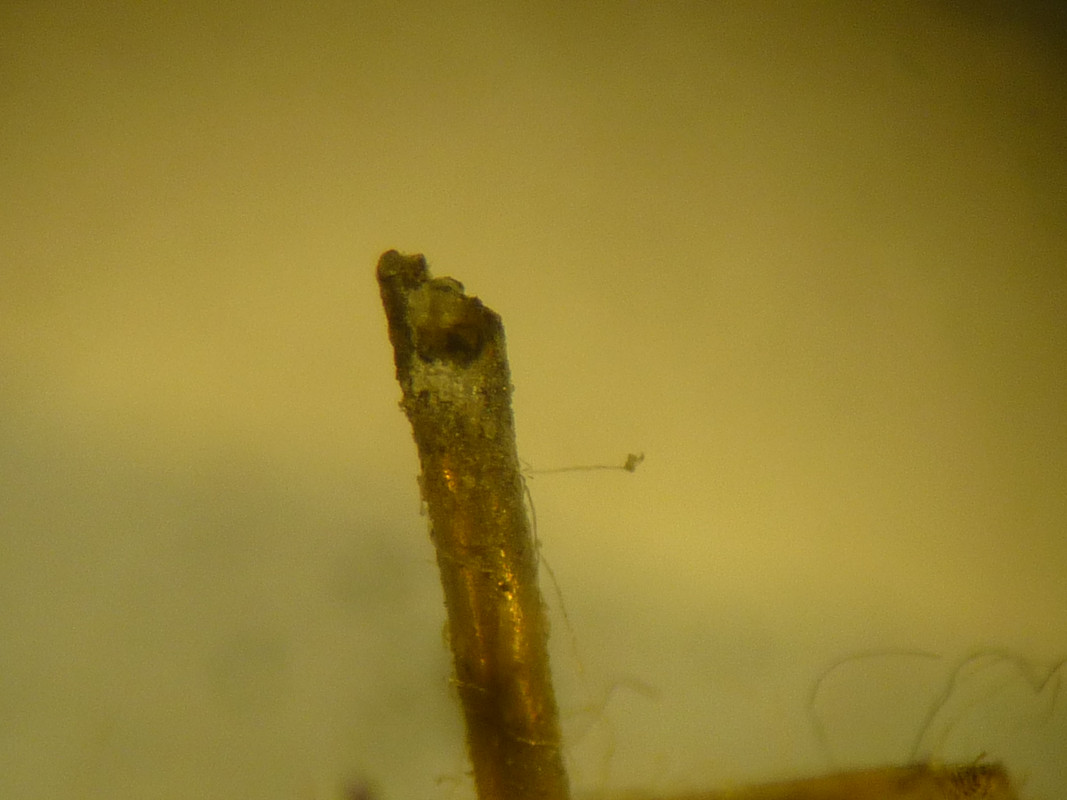 4884BCED-99CA-46A8-A350-1BF9ACA5E450