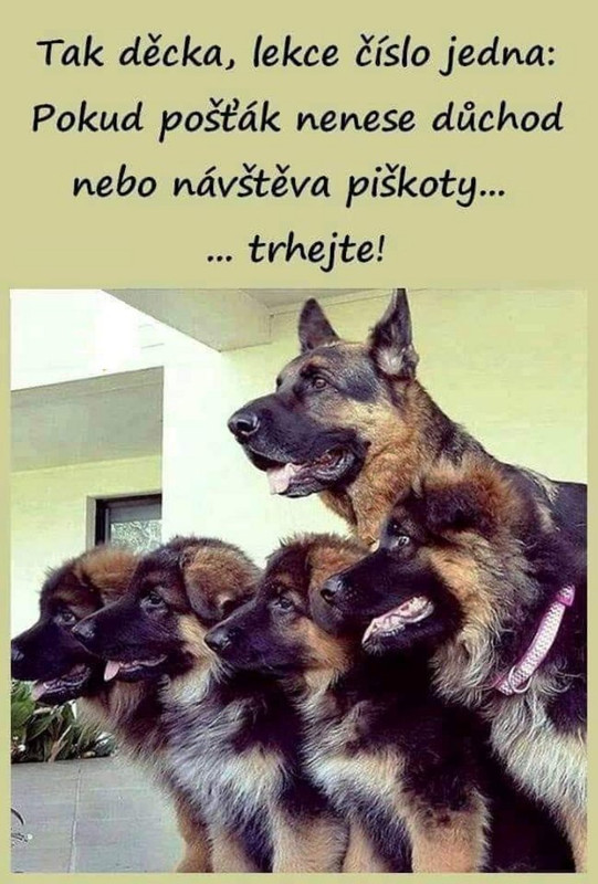 FB_IMG_1591943737033