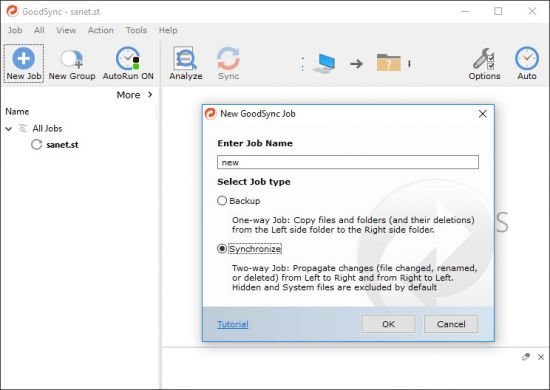 GoodSync Enterprise 10.10.11.11 Multilingual