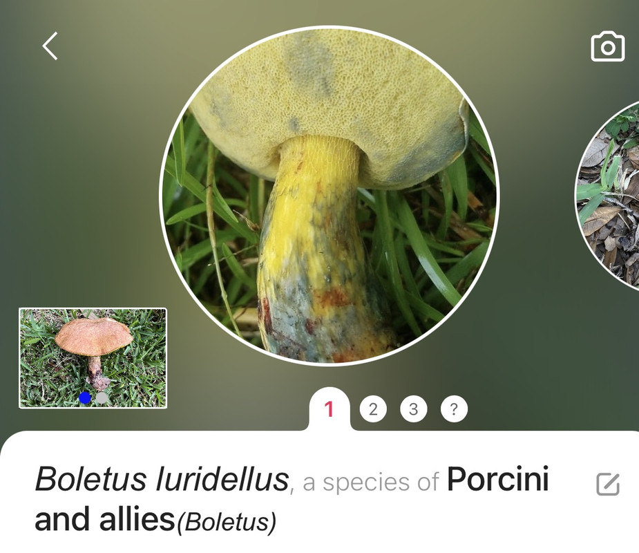 6BE0572B-F994-450C-BF30-827A2B6CD141