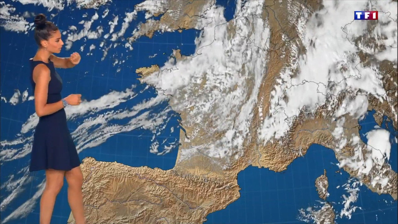 2022-08-19_20_00_TF1_Le-20h.mp4_snapshot_00.08.416