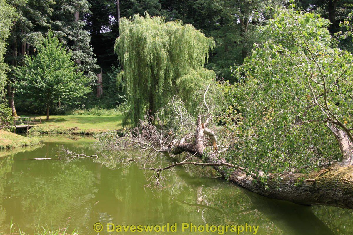 IMG 0067 — Postimages
