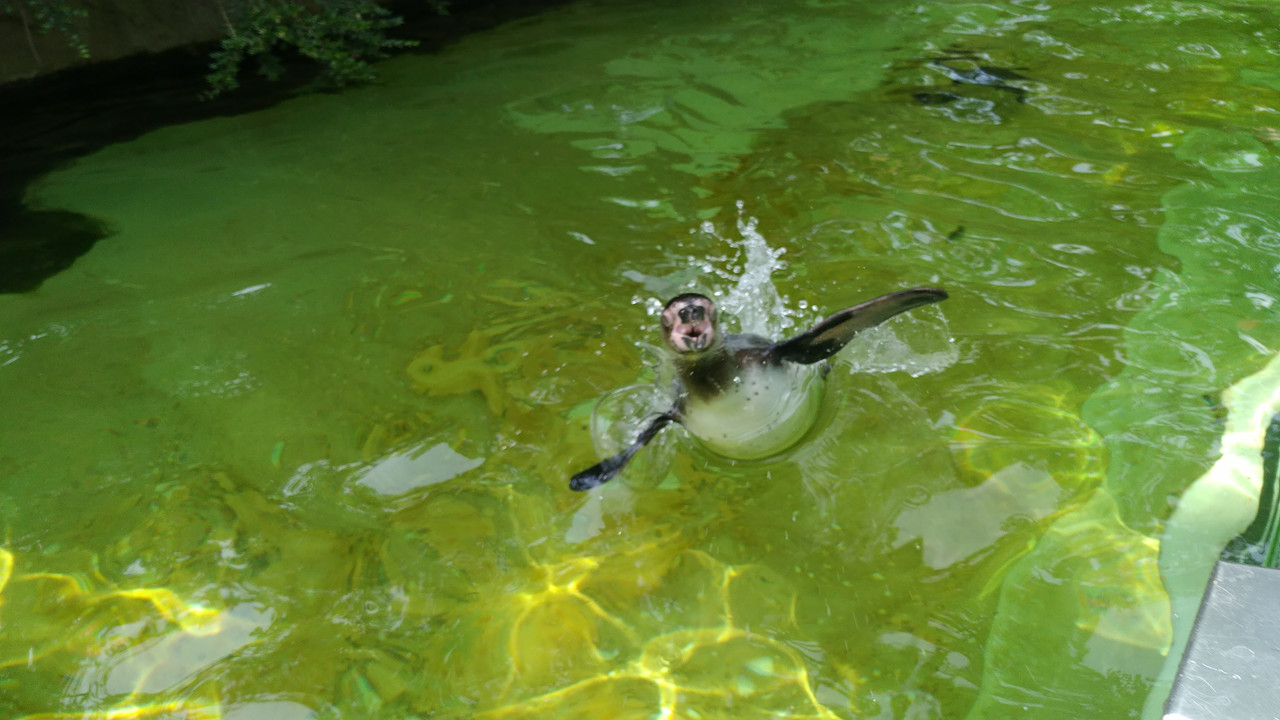 IMG_20190509_135531[1]