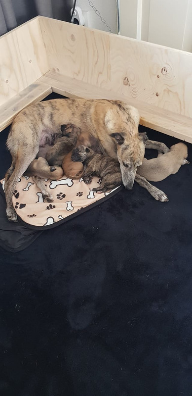 2414092B-1689-44D6-9D2E-2B1C5C60E57C