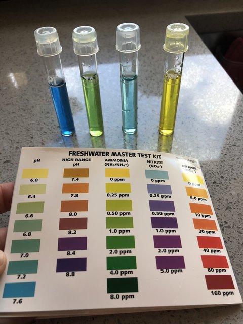 taptest