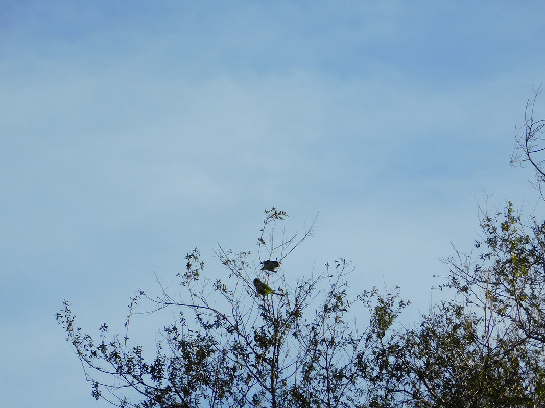 DSCN0259.jpg