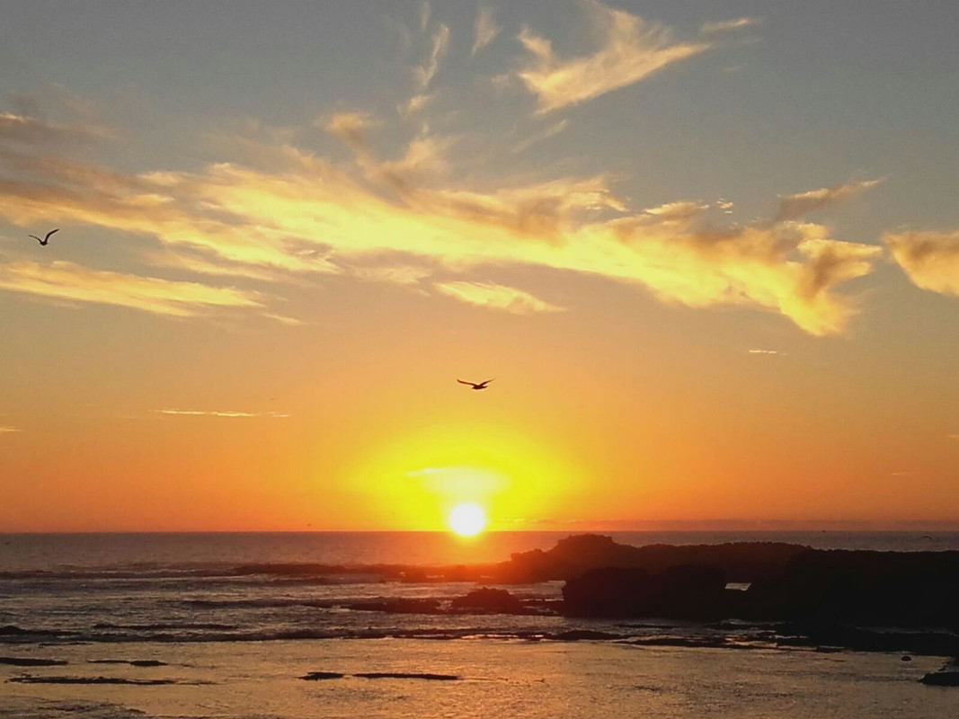 Agadir - Blogs de Marruecos - Que visitar en los alrededores de Agadir (9)