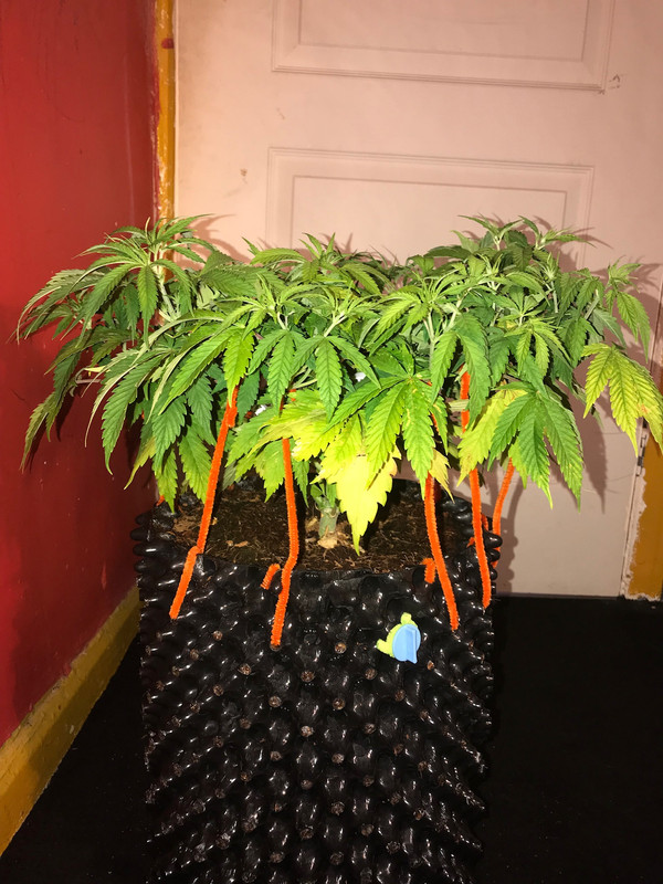 E6D5C314-D80C-407C-89EB-03701D1751F2