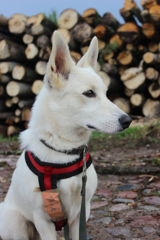 photo_2023-08-10_17-02-36 (2)