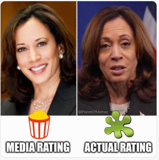 🖼️