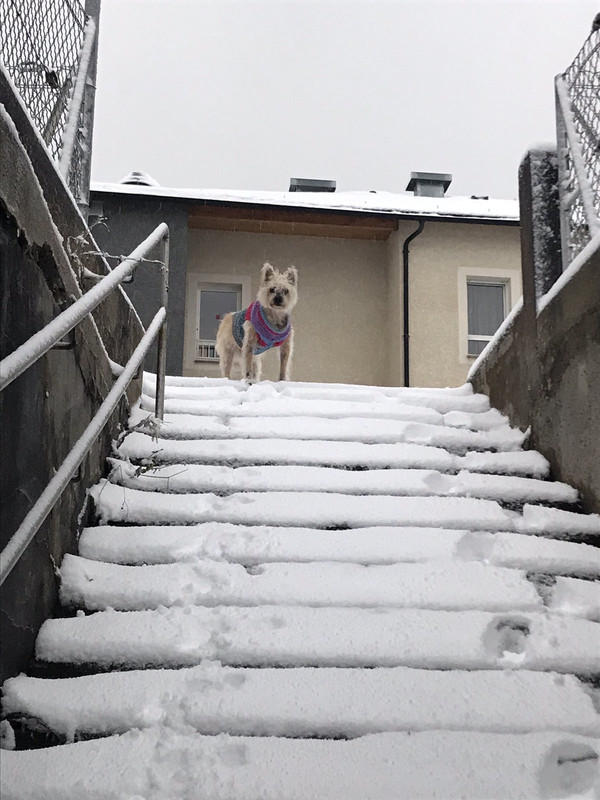 591C393C-527B-4C1D-B9A4-B8B112344DF0