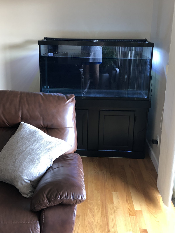 D4E200D6-ECB3-416B-BF4E-BE31341AC861