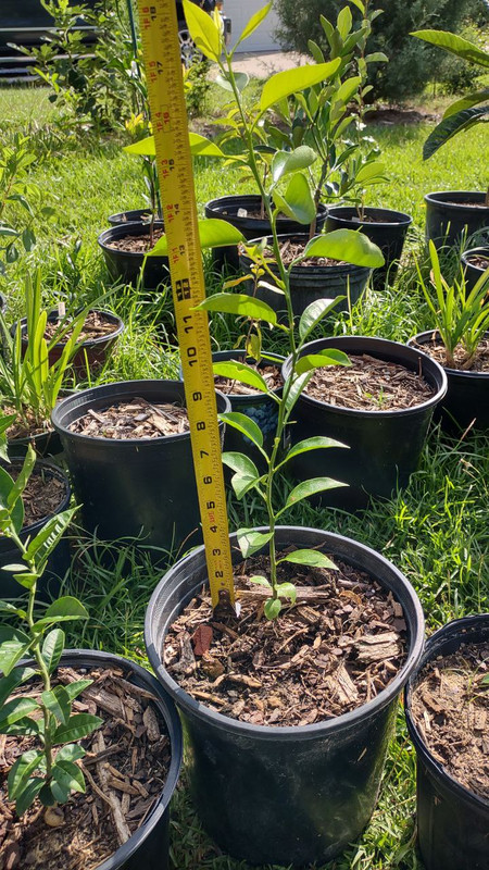 photo_2025-07-23_09-30-08 (9)