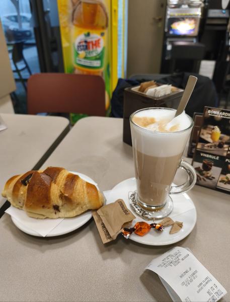 Milán-Turín-Génova-Pavía - Blogs de Italia - Pavía: la famosa batalla y sus torres medievales (61)