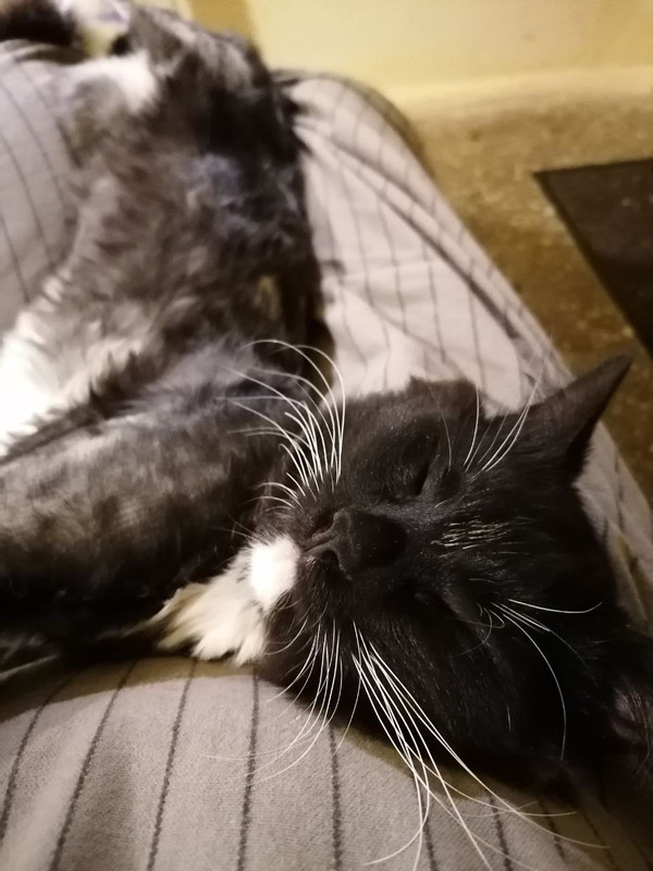 E6E23BF4-2CD4-4802-9946-6D0BDB6D06AF