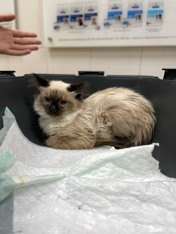 0FC9B565-A645-4B87-8E49-086CBA7406AD