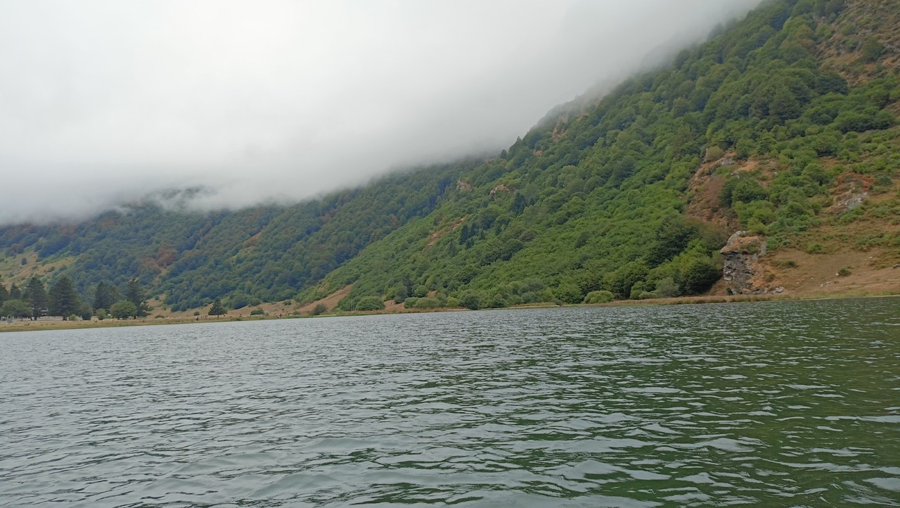 IMG20250819115421 (Large)