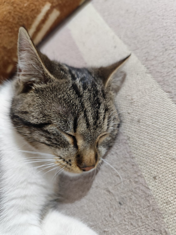 Whats App Image 2026 02 21 at 23 04 22