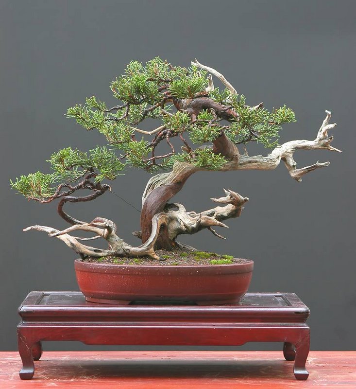 f3ac9868a0604785e30f37cb272454a7