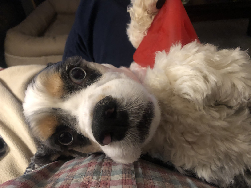 AF7E2135-48CF-42E8-9BE4-8E826A17323A