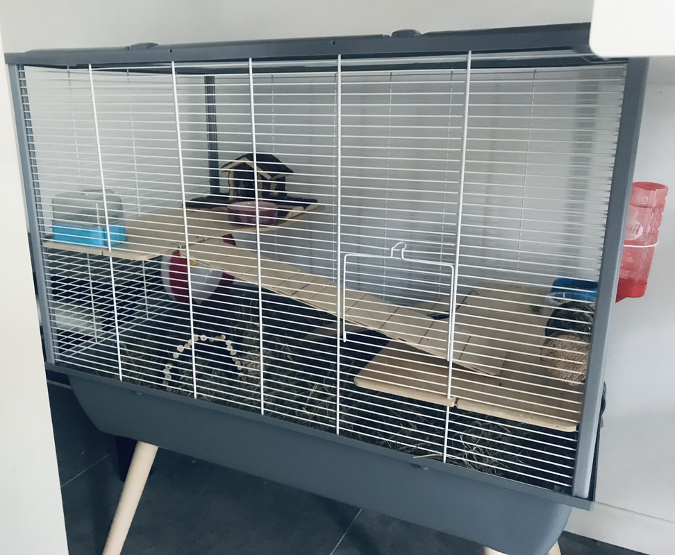 4A1DF682-4502-4A2C-9016-A5265440F71B