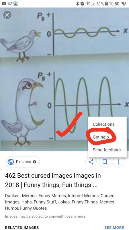 https://i.postimg.cc/0yW88wHz/received-296251624359361.jpg