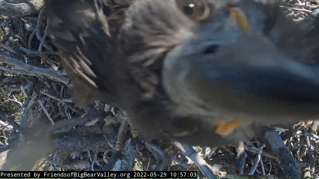 Webp.net-gifmaker (3)