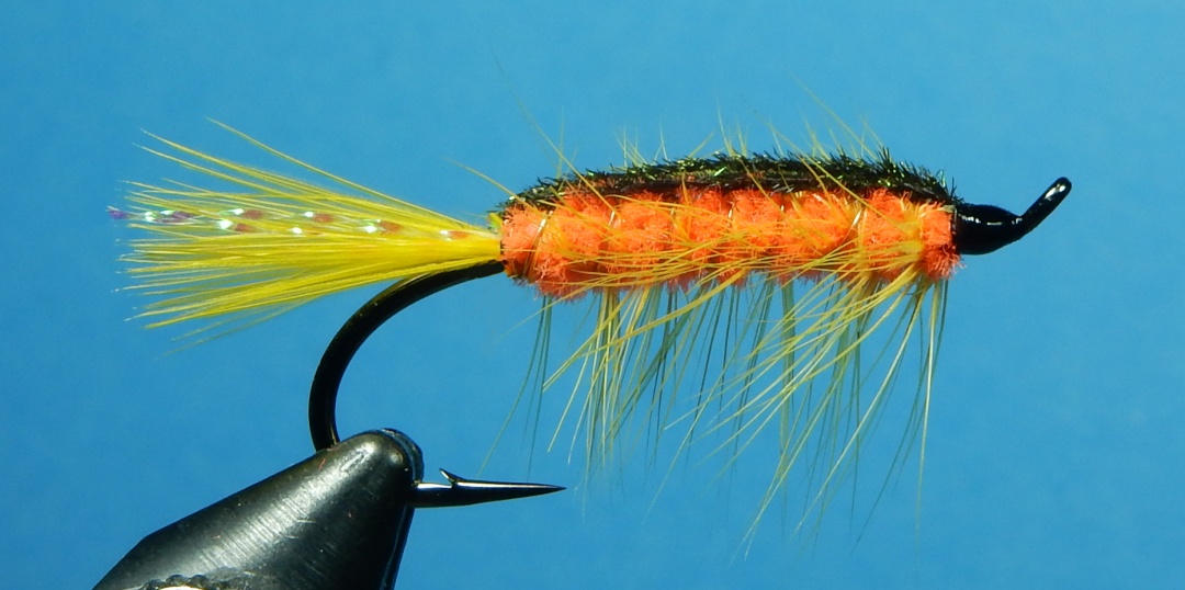 Critter-1080.jpg