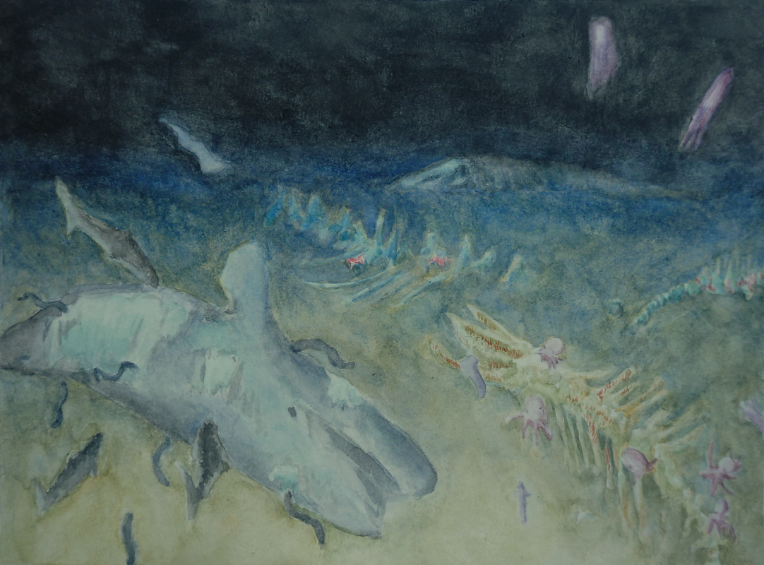 a watercolour painting of the ocean floor, showing several whale carcasses in various states of decay. They are surrounded by eels, sharks, purple octopuses, and red crabs