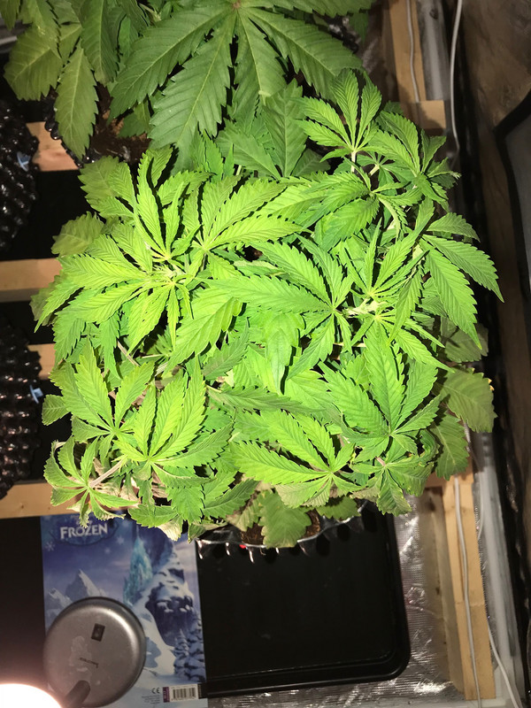 587F7512-5D12-4980-A3E9-03423742AE03