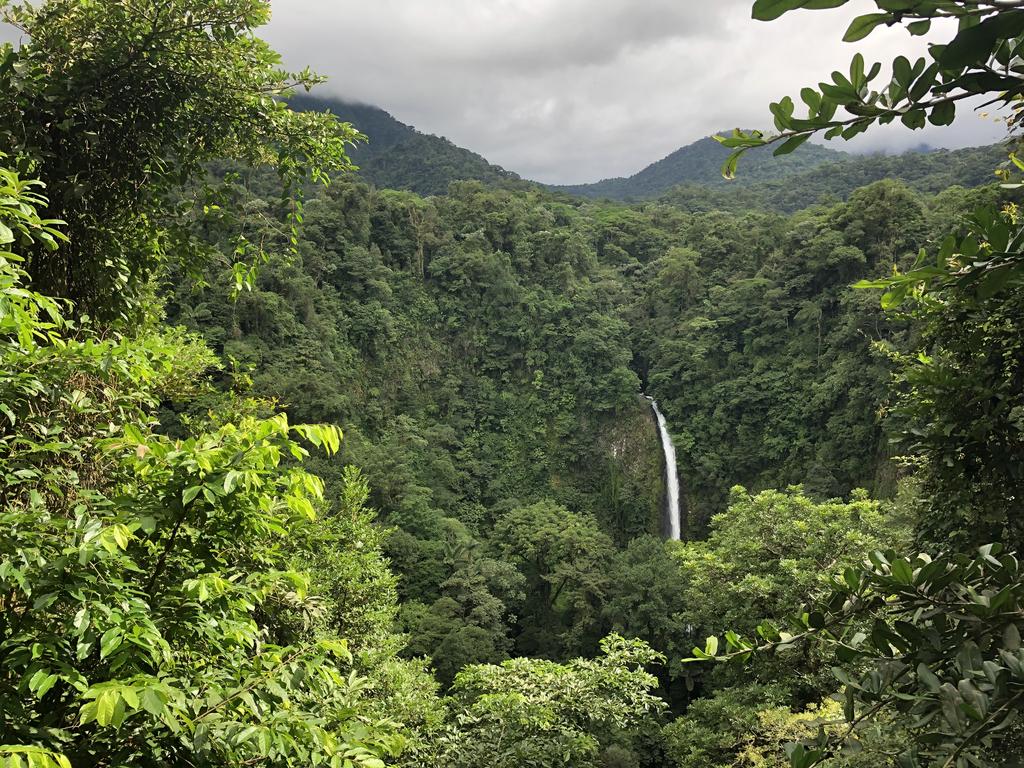 DE TORTUGAS Y PEREZOSOS. COSTA RICA 2019 - Blogs of Costa Rica - DIA 7: ARENAL. CATARATA FORTUNA (14)