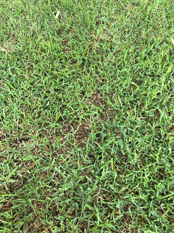 EF39691A-9560-4B73-A221-24955F0068F8