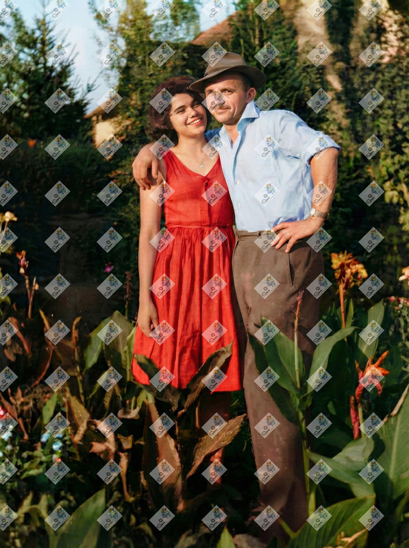 Image 1hnqa31hnqa31hnq