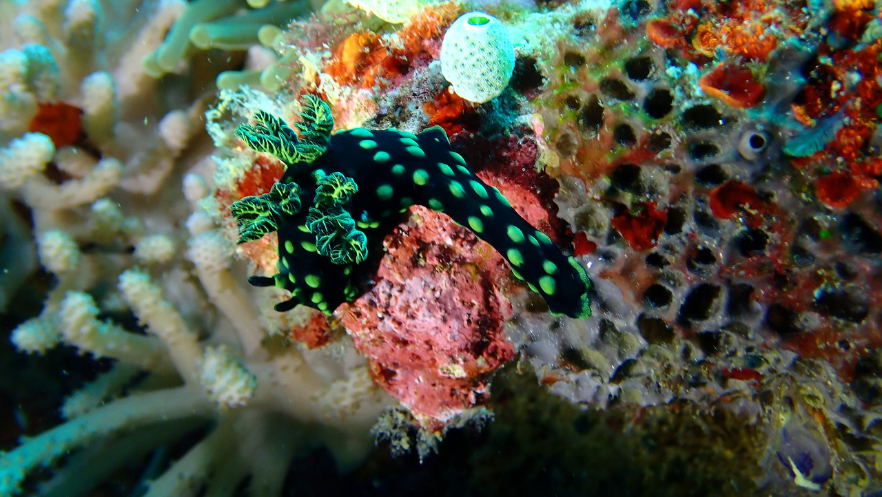 89DB3852-53B2-4D30-A415-A19C2D9839D8