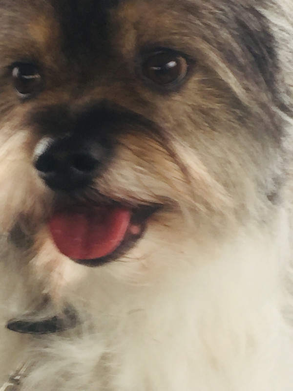 2A4E869B-98FA-4F51-AF6C-9310586E9A94