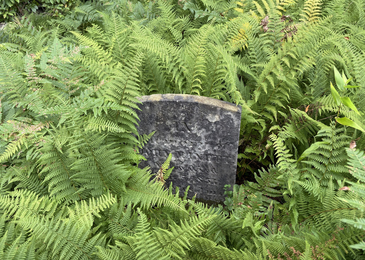Fallsburg-Cemetery-Aug-31-2026-10