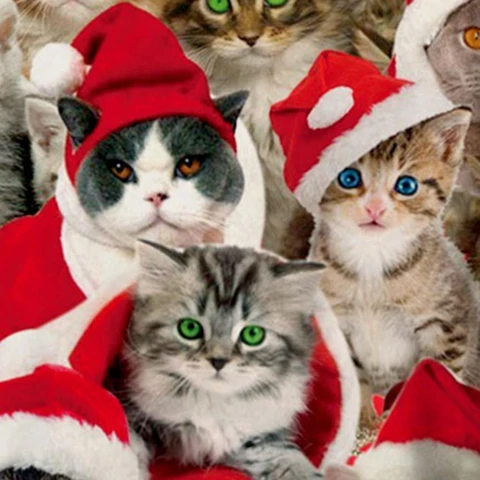 97041CE5-F029-4B4E-B024-04BFA39FC898