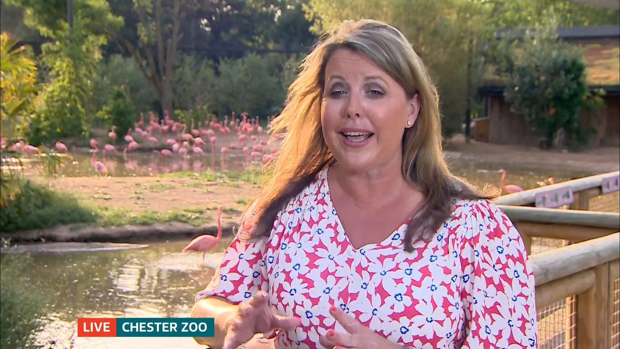 ITV Evening News_20220718_18301930.ts_snapshot_44.20.544